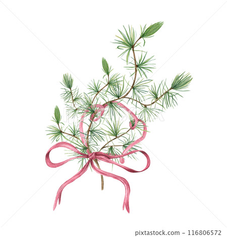Larch bouquet with dusk pink ribbon. Branch with green foliage and bow. Christmas pine tree branch with needles. Watercolor illustration. For holiday designs, invitations, or decorative projects. Larch bouquet with dusk pink ribbon. Branch with green foliage and bow. Christmas pine tree branch with needles. Watercolor illustration. For holiday designs, invitations, or decorative projects. 116806572