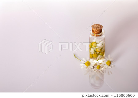 Fresh chamomile flowers and bottle with chamomile essential oil on white background. Hair treatment concept. Close up Fresh chamomile flowers and bottle with chamomile essential oil on white background. Hair treatment concept. Close up 116806600