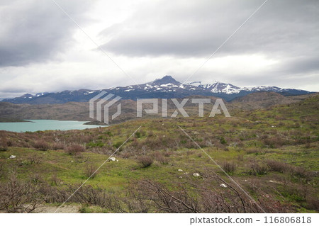 Nature on w trek, Patagonia Nature on w trek, Patagonia 116806818