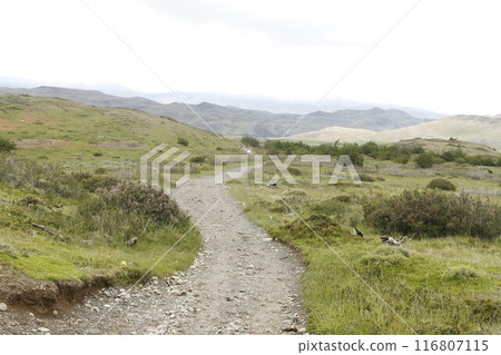 Nature on w trek, Patagonia 116807115