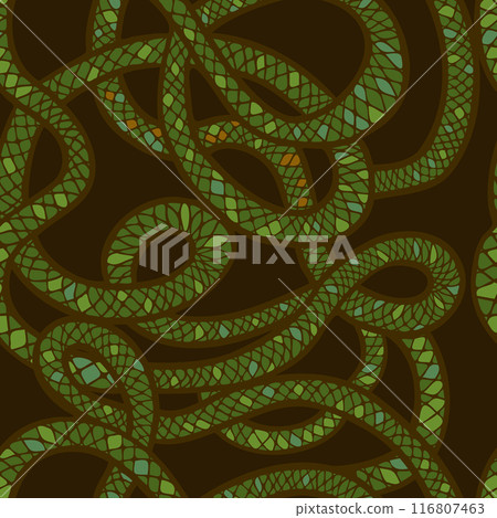 Snake seamless pattern. hand drawing. Not AI, Vector illustration. 116807463