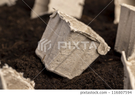 square containers for seedlings in agriculture 116807594