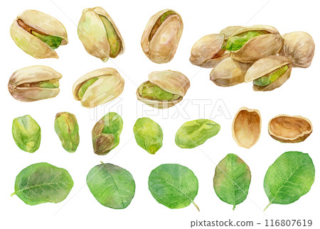 阿月渾子水彩插圖集 116807619