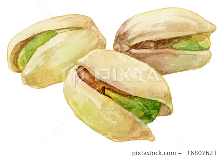 三張開心果水彩插圖 三張開心果水彩插圖 116807621