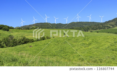 拍攝風景,風車矗立在蔚藍的天空下的草地上 拍攝風景,風車矗立在蔚藍的天空下的草地上 116807744