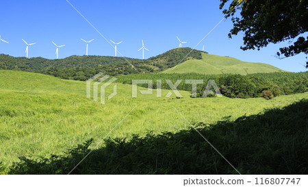 拍攝風景,風車矗立在蔚藍的天空下的草地上 拍攝風景,風車矗立在蔚藍的天空下的草地上 116807747