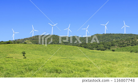 拍攝風景,風車矗立在蔚藍的天空下的草地上 拍攝風景,風車矗立在蔚藍的天空下的草地上 116807748