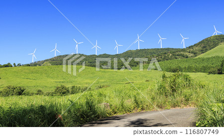 拍攝風景,風車矗立在蔚藍的天空下的草地上 拍攝風景,風車矗立在蔚藍的天空下的草地上 116807749