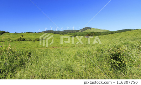 拍攝風景,風車矗立在蔚藍的天空下的草地上 拍攝風景,風車矗立在蔚藍的天空下的草地上 116807750