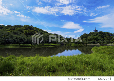 Sankeien Garden, a scenic spot and famous spot in Honmoku, Yokohama City, Kanagawa Prefecture / Summer at Sankeien Garden 116807781