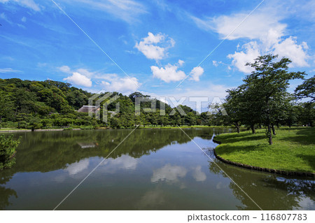 神奈川縣橫濱市本牧的風景名勝三溪園/三溪園的夏天 116807783