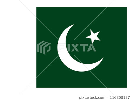 國旗巴基斯坦 116808127