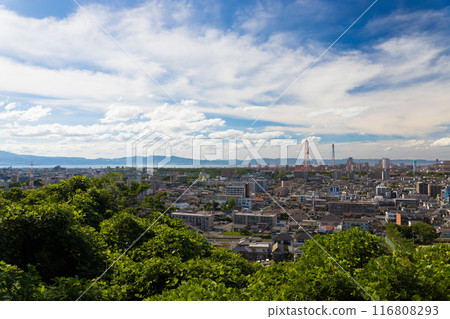 Daytime view of Oita city from Gokoku Shrine (Oita City, Oita Prefecture) 116808293