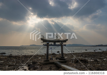 Torii gate near the sea (Kitsuki City, Oita Prefecture) 116808318