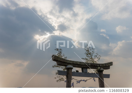 海邊的鳥居（大分縣杵築市） 116808329