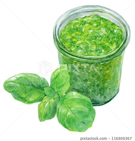 Basil paste and basil leaves watercolor illustration 116808367