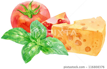 羅勒、番茄和義大利起司的水彩插圖 116808376