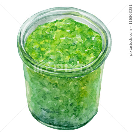 Basil sauce watercolor illustration 116808381