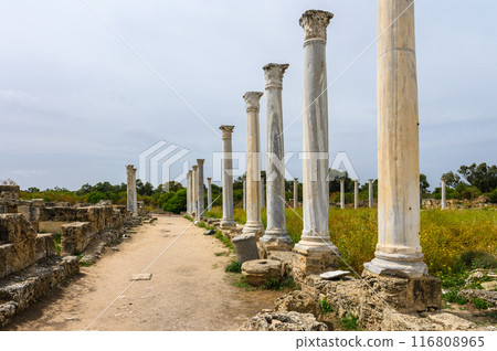 Remains of the ancient city of Salamis, Northern Cyprus 2 Remains of the ancient city of Salamis, Northern Cyprus 2 116808965
