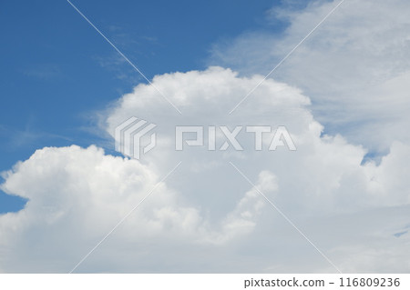 blue sky with cloud. natural background with copy space. 116809236