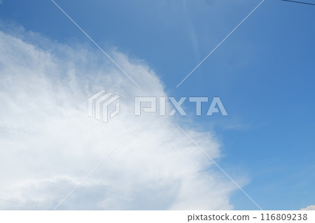 blue sky with cloud. natural background with copy space. blue sky with cloud. natural background with copy space. 116809238