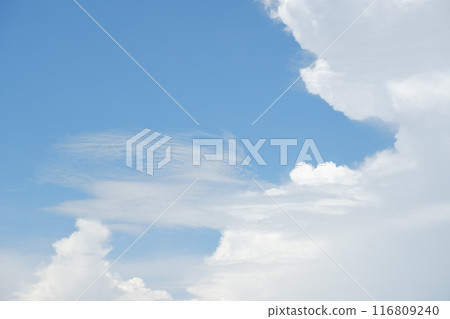 blue sky with cloud. natural background with copy space. blue sky with cloud. natural background with copy space. 116809240