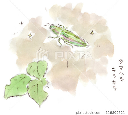 Summer creatures, metallic green beetles, watercolor illustrations of jewel beetles 116809321