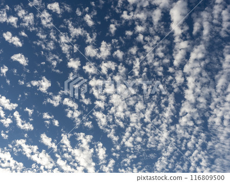 Early morning blue sky and clouds 116809500