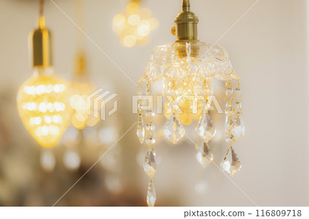 Chandelier Pendant Lamp 116809718