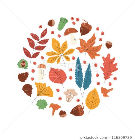 Vector flat round autumn leaves composition design Vector flat round autumn leaves composition design 116809729