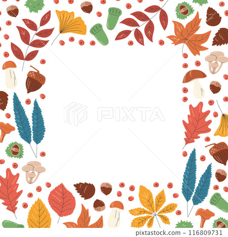 Various fall foliage elements square frame design Various fall foliage elements square frame design 116809731