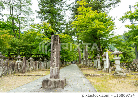 Ibigawa Town, Gifu Prefecture: Sanjusandoishi stone at the entrance to the approach to Kegonji Temple on Mt. Yagikumi lined with lanterns and fresh greenery 116809754