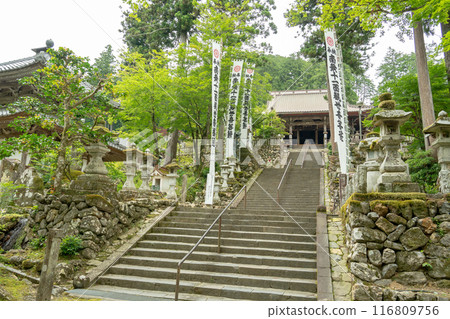 Ibigawa-cho, Gifu Prefecture: Stairs leading up to the main hall of Kegon-ji Temple on Mt. Yagikumi amidst fresh greenery 116809756