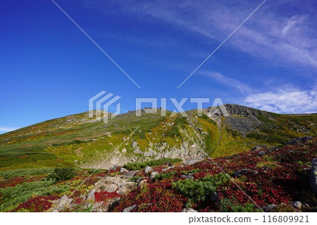 大雪山和浦島杜鵑花在晴朗的秋季天氣 大雪山和浦島杜鵑花在晴朗的秋季天氣 116809921
