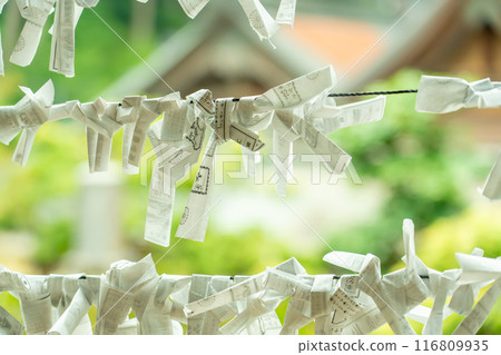 A hanging scroll with fortune-telling papers tied to it at Kegonji Temple on Mount Yagumi in Ibigawa Town, Gifu Prefecture, amidst fresh greenery A hanging scroll with fortune-telling papers tied to it at Kegonji Temple on Mount Yagumi in Ibigawa Town, Gifu Prefecture, amidst fresh greenery 116809935