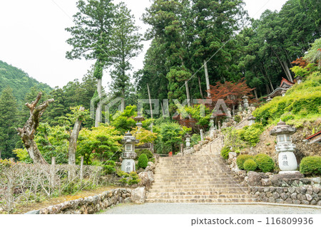 岐阜縣谷山華嚴寺的曼甘燈籠樓梯,新鮮的綠色植物 岐阜縣谷山華嚴寺的曼甘燈籠樓梯,新鮮的綠色植物 116809936