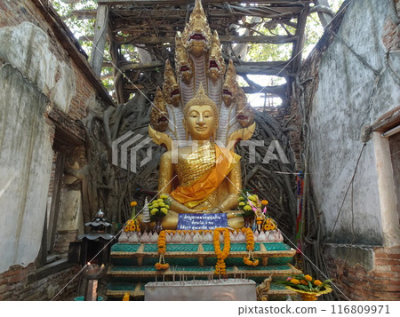 桑克拉泰寺 (Wat Sankrathai) 被椴樹侵占 Anton Thai 桑克拉泰寺 (Wat Sankrathai) 被椴樹侵占 Anton Thai 116809971