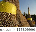 Wat Chedi Hoi made from oyster shells, Ayutthaya, Thailand 116809990