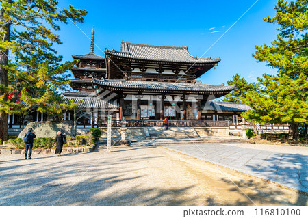 【奈良縣】藍天美麗的法隆寺中門 116810100