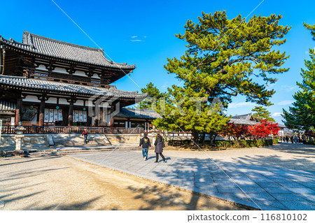 【奈良縣】藍天美麗的法隆寺中門 【奈良縣】藍天美麗的法隆寺中門 116810102