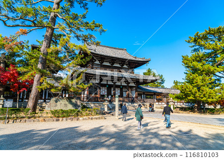 [Nara Prefecture] The inner gate of Horyuji Temple under a beautiful blue sky 116810103