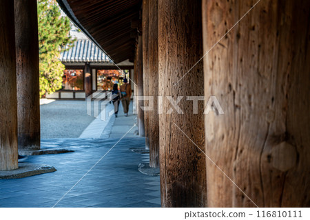 [Nara Prefecture] The corridors of Horyuji Temple, where you can feel the depth of history 116810111