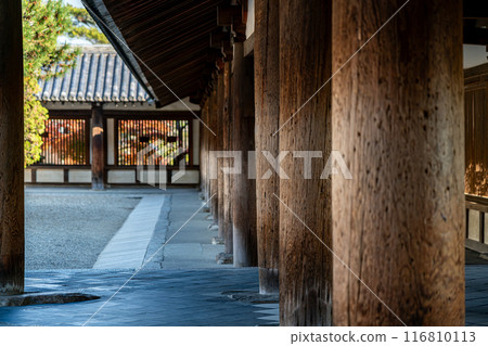 【奈良縣】法隆寺的迴廊，感受歷史的厚重 116810113