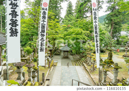 岐阜縣揖斐川町,在綠意盎然的谷組山華嚴寺正殿的參道上 岐阜縣揖斐川町,在綠意盎然的谷組山華嚴寺正殿的參道上 116810135
