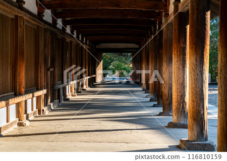[Nara Prefecture] The corridors of Horyuji Temple, where you can feel the depth of history 116810159