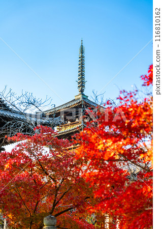 [奈良縣] 法隆寺的五層寶塔，秋葉美麗明亮 116810162