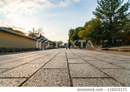 [Nara Prefecture] A beautiful autumn sky spreads across the approach to Horyuji Temple 116810171