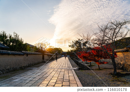 [奈良縣]法隆寺的參道，黃昏時分，秋日的天空鋪展開來 116810178