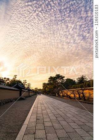 [Nara Prefecture] A dynamic autumn sky at dusk spreads across the approach to Horyu-ji Temple 116810183