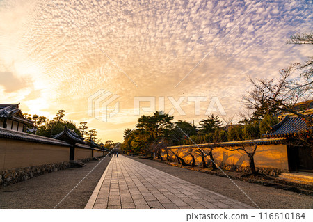 [Nara Prefecture] A dynamic autumn sky at dusk spreads across the approach to Horyu-ji Temple 116810184